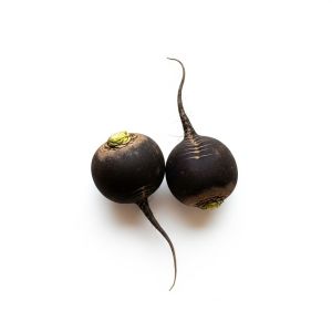 Ріпа чорна