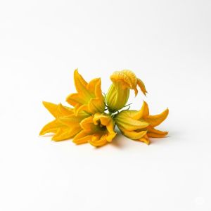 Зелень квіти цукіні