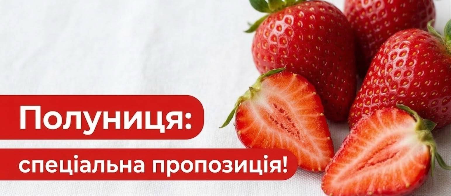 Homepage Logged Customer Banner 2